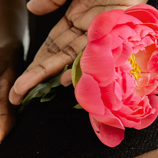 Flor acariciada